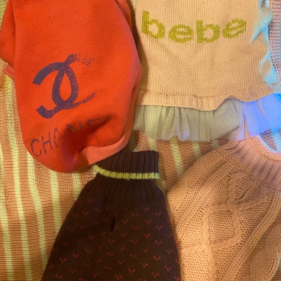 Bebe Dog Lot 🐶🥓💋 - Picture 3 of 4